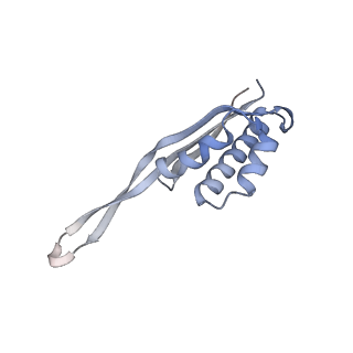 33660_7y7c_r_v1-0
Structure of the Bacterial Ribosome with human tRNA Asp(G34) and mRNA(GAU)