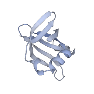 33660_7y7c_u_v1-0
Structure of the Bacterial Ribosome with human tRNA Asp(G34) and mRNA(GAU)