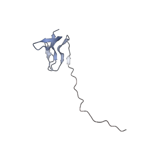 33660_7y7c_v_v1-0
Structure of the Bacterial Ribosome with human tRNA Asp(G34) and mRNA(GAU)