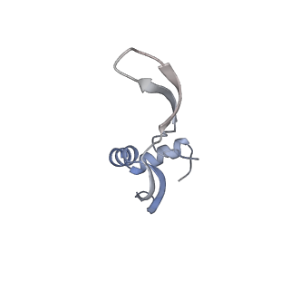33660_7y7c_w_v1-0
Structure of the Bacterial Ribosome with human tRNA Asp(G34) and mRNA(GAU)