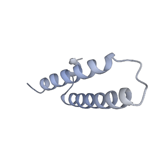 33660_7y7c_x_v1-0
Structure of the Bacterial Ribosome with human tRNA Asp(G34) and mRNA(GAU)