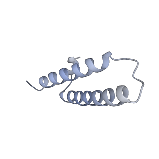 33660_7y7c_x_v2-2
Structure of the Bacterial Ribosome with human tRNA Asp(G34) and mRNA(GAU)