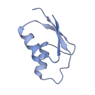 33660_7y7c_y_v1-0
Structure of the Bacterial Ribosome with human tRNA Asp(G34) and mRNA(GAU)