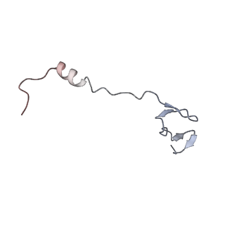 33660_7y7c_z_v1-0
Structure of the Bacterial Ribosome with human tRNA Asp(G34) and mRNA(GAU)