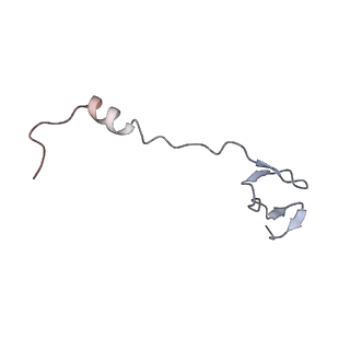 33660_7y7c_z_v2-2
Structure of the Bacterial Ribosome with human tRNA Asp(G34) and mRNA(GAU)