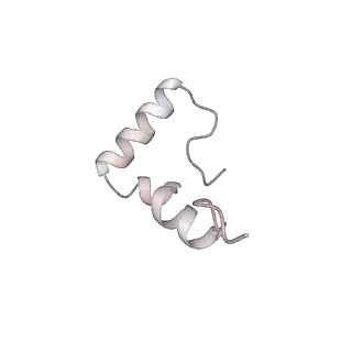 33661_7y7d_1_v1-0
Structure of the Bacterial Ribosome with human tRNA Asp(Q34) and mRNA(GAU)