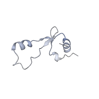 33661_7y7d_2_v1-0
Structure of the Bacterial Ribosome with human tRNA Asp(Q34) and mRNA(GAU)