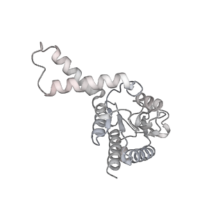 33661_7y7d_B_v2-2
Structure of the Bacterial Ribosome with human tRNA Asp(Q34) and mRNA(GAU)