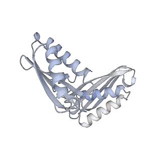 33661_7y7d_C_v1-0
Structure of the Bacterial Ribosome with human tRNA Asp(Q34) and mRNA(GAU)