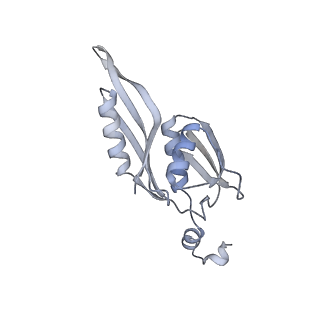 33661_7y7d_E_v1-0
Structure of the Bacterial Ribosome with human tRNA Asp(Q34) and mRNA(GAU)