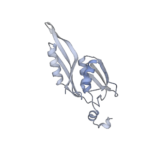33661_7y7d_E_v2-2
Structure of the Bacterial Ribosome with human tRNA Asp(Q34) and mRNA(GAU)