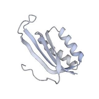 33661_7y7d_F_v1-0
Structure of the Bacterial Ribosome with human tRNA Asp(Q34) and mRNA(GAU)