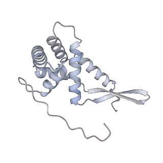 33661_7y7d_G_v2-2
Structure of the Bacterial Ribosome with human tRNA Asp(Q34) and mRNA(GAU)