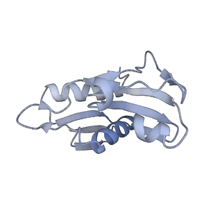 33661_7y7d_H_v1-0
Structure of the Bacterial Ribosome with human tRNA Asp(Q34) and mRNA(GAU)