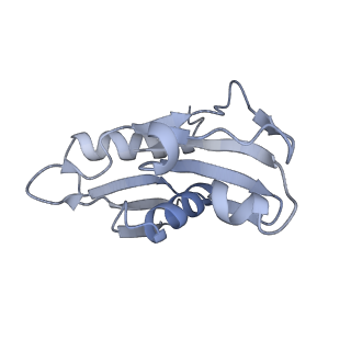 33661_7y7d_H_v2-2
Structure of the Bacterial Ribosome with human tRNA Asp(Q34) and mRNA(GAU)