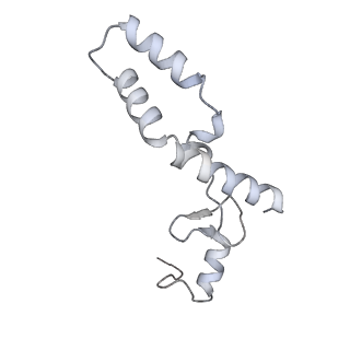 33661_7y7d_N_v2-2
Structure of the Bacterial Ribosome with human tRNA Asp(Q34) and mRNA(GAU)