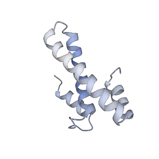 33661_7y7d_O_v1-0
Structure of the Bacterial Ribosome with human tRNA Asp(Q34) and mRNA(GAU)