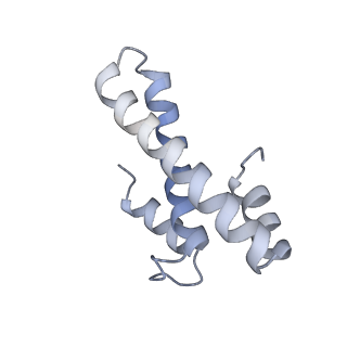 33661_7y7d_O_v2-2
Structure of the Bacterial Ribosome with human tRNA Asp(Q34) and mRNA(GAU)