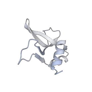 33661_7y7d_P_v1-0
Structure of the Bacterial Ribosome with human tRNA Asp(Q34) and mRNA(GAU)