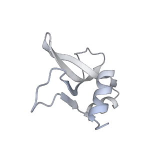 33661_7y7d_P_v2-2
Structure of the Bacterial Ribosome with human tRNA Asp(Q34) and mRNA(GAU)