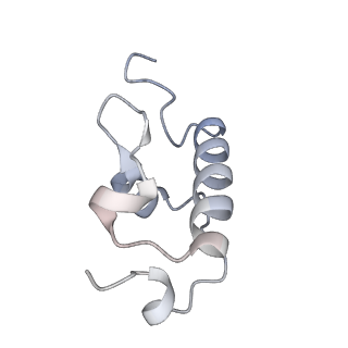 33661_7y7d_R_v1-0
Structure of the Bacterial Ribosome with human tRNA Asp(Q34) and mRNA(GAU)