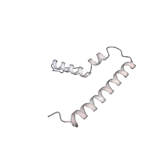 33661_7y7d_U_v1-0
Structure of the Bacterial Ribosome with human tRNA Asp(Q34) and mRNA(GAU)