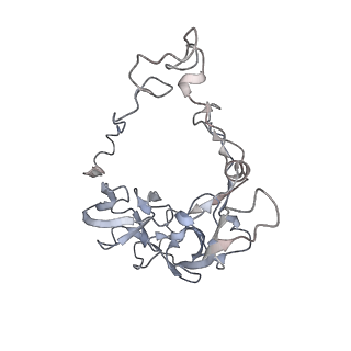 33661_7y7d_c_v1-0
Structure of the Bacterial Ribosome with human tRNA Asp(Q34) and mRNA(GAU)