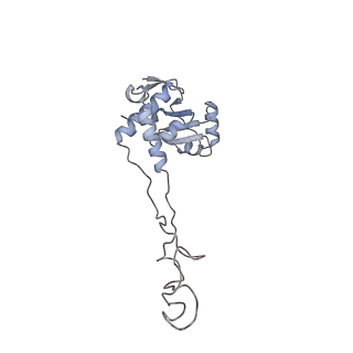 33661_7y7d_e_v1-0
Structure of the Bacterial Ribosome with human tRNA Asp(Q34) and mRNA(GAU)