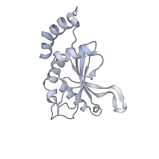 33661_7y7d_f_v1-0
Structure of the Bacterial Ribosome with human tRNA Asp(Q34) and mRNA(GAU)