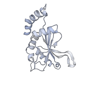 33661_7y7d_f_v2-2
Structure of the Bacterial Ribosome with human tRNA Asp(Q34) and mRNA(GAU)