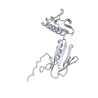 33661_7y7d_g_v1-0
Structure of the Bacterial Ribosome with human tRNA Asp(Q34) and mRNA(GAU)