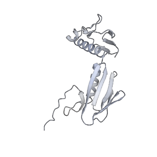 33661_7y7d_g_v2-2
Structure of the Bacterial Ribosome with human tRNA Asp(Q34) and mRNA(GAU)