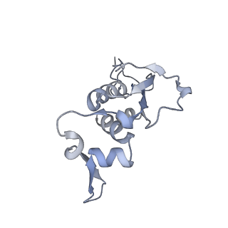 33661_7y7d_i_v2-2
Structure of the Bacterial Ribosome with human tRNA Asp(Q34) and mRNA(GAU)