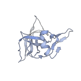 33661_7y7d_j_v1-0
Structure of the Bacterial Ribosome with human tRNA Asp(Q34) and mRNA(GAU)