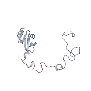 33661_7y7d_k_v1-0
Structure of the Bacterial Ribosome with human tRNA Asp(Q34) and mRNA(GAU)