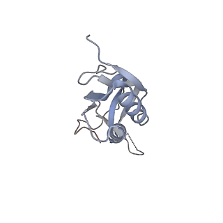 33661_7y7d_l_v1-0
Structure of the Bacterial Ribosome with human tRNA Asp(Q34) and mRNA(GAU)