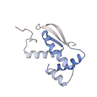 33661_7y7d_m_v1-0
Structure of the Bacterial Ribosome with human tRNA Asp(Q34) and mRNA(GAU)