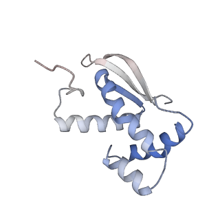 33661_7y7d_m_v2-2
Structure of the Bacterial Ribosome with human tRNA Asp(Q34) and mRNA(GAU)