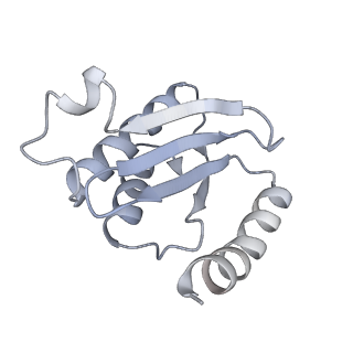 33661_7y7d_n_v1-0
Structure of the Bacterial Ribosome with human tRNA Asp(Q34) and mRNA(GAU)