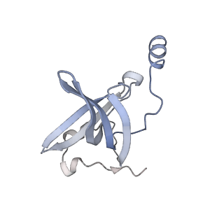 33661_7y7d_o_v2-2
Structure of the Bacterial Ribosome with human tRNA Asp(Q34) and mRNA(GAU)