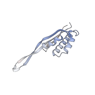 33661_7y7d_r_v2-2
Structure of the Bacterial Ribosome with human tRNA Asp(Q34) and mRNA(GAU)