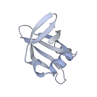 33661_7y7d_u_v1-0
Structure of the Bacterial Ribosome with human tRNA Asp(Q34) and mRNA(GAU)