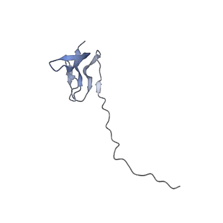 33661_7y7d_v_v1-0
Structure of the Bacterial Ribosome with human tRNA Asp(Q34) and mRNA(GAU)