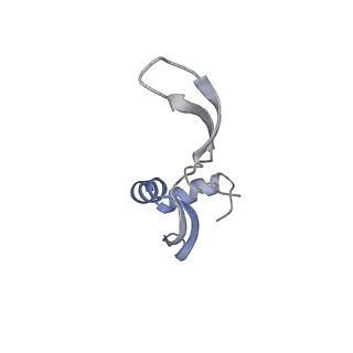 33661_7y7d_w_v1-0
Structure of the Bacterial Ribosome with human tRNA Asp(Q34) and mRNA(GAU)