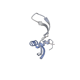 33661_7y7d_w_v2-2
Structure of the Bacterial Ribosome with human tRNA Asp(Q34) and mRNA(GAU)