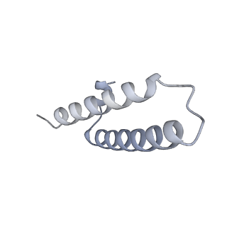 33661_7y7d_x_v1-0
Structure of the Bacterial Ribosome with human tRNA Asp(Q34) and mRNA(GAU)