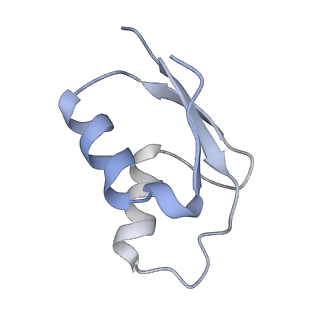 33661_7y7d_y_v1-0
Structure of the Bacterial Ribosome with human tRNA Asp(Q34) and mRNA(GAU)