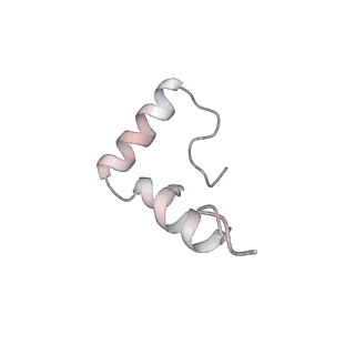 33665_7y7h_1_v1-0
Structure of the Bacterial Ribosome with human tRNA Tyr(GalQ34) and mRNA(UAC)