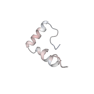 33665_7y7h_1_v2-2
Structure of the Bacterial Ribosome with human tRNA Tyr(GalQ34) and mRNA(UAC)