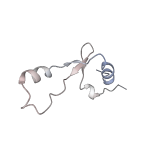 33665_7y7h_2_v1-0
Structure of the Bacterial Ribosome with human tRNA Tyr(GalQ34) and mRNA(UAC)